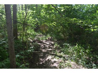 Property photo 18 - 108 +/- Acres Offered in 2 Tracts - Land Auction